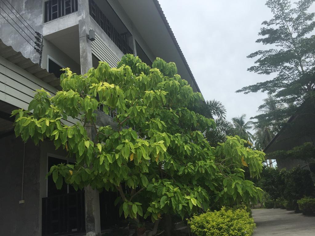 Baan Suan Ta Hotel Ko Tao Bagian luar foto